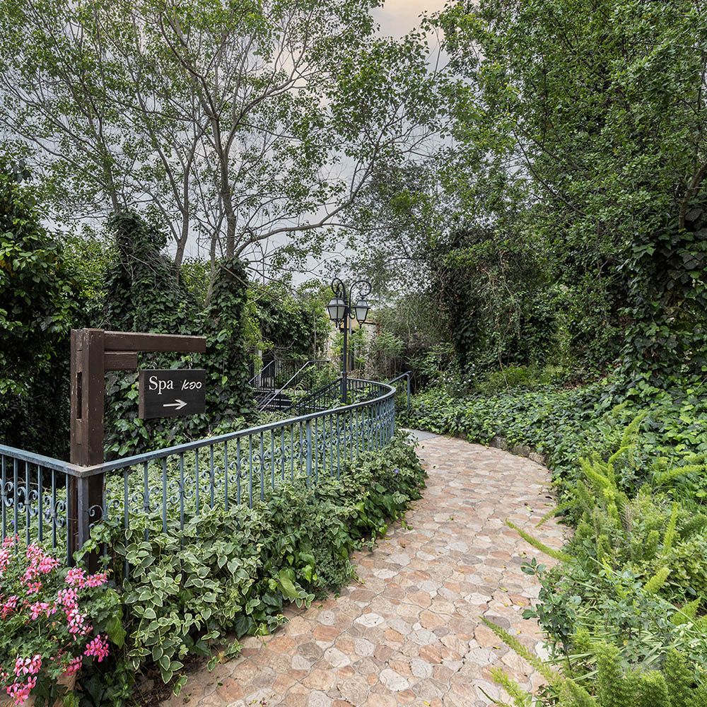 C-Hotels | Inspired Hospitality Across Israel