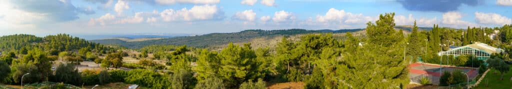 PANORAMA